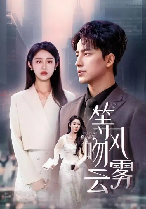 长夜将明剧集海报